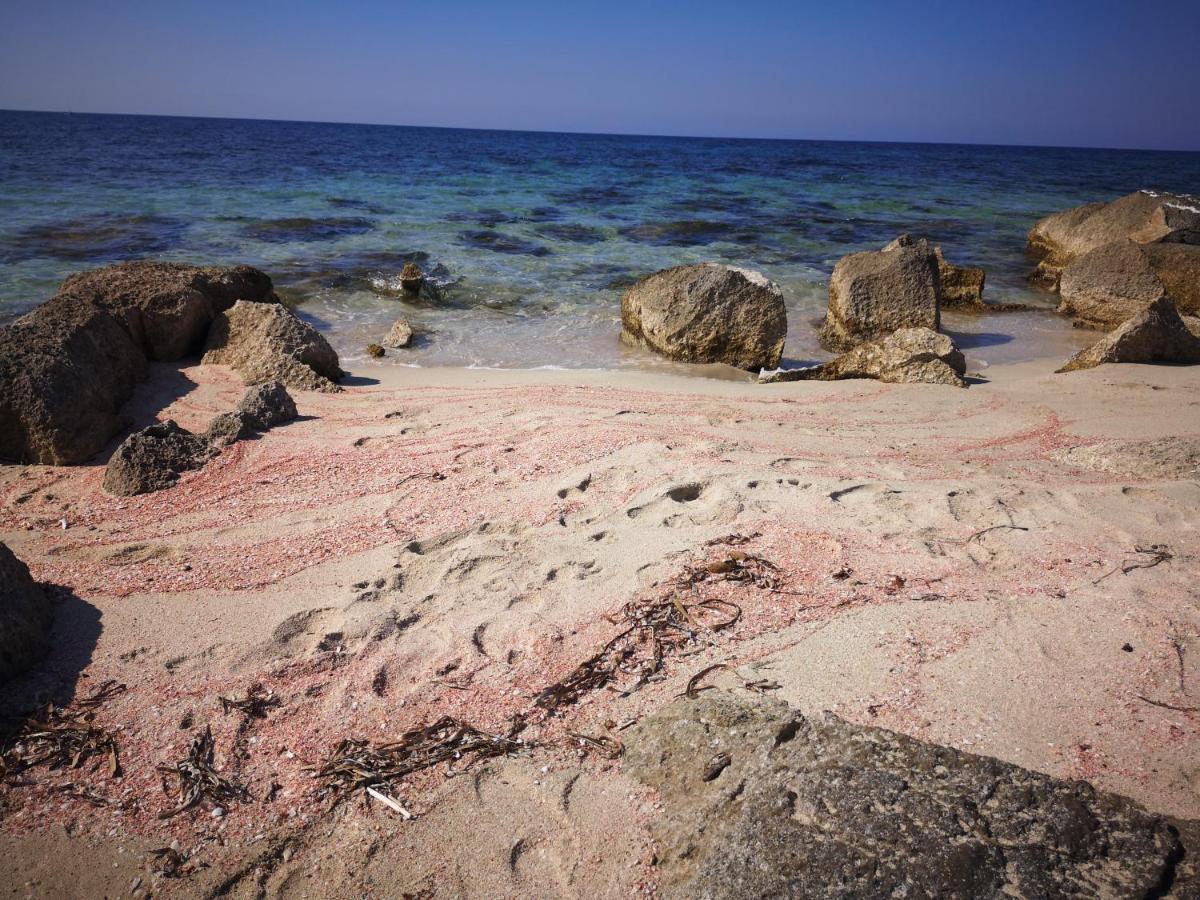 Casa Vacanza Da Samuele San Vito Lo Capo Exteriér fotografie